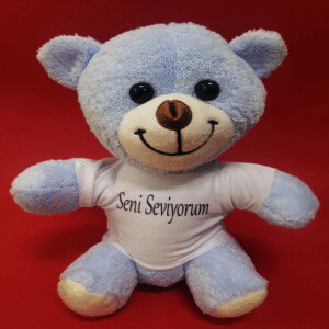 Mavi Seni Seviyorum Tişörtlü Ayı